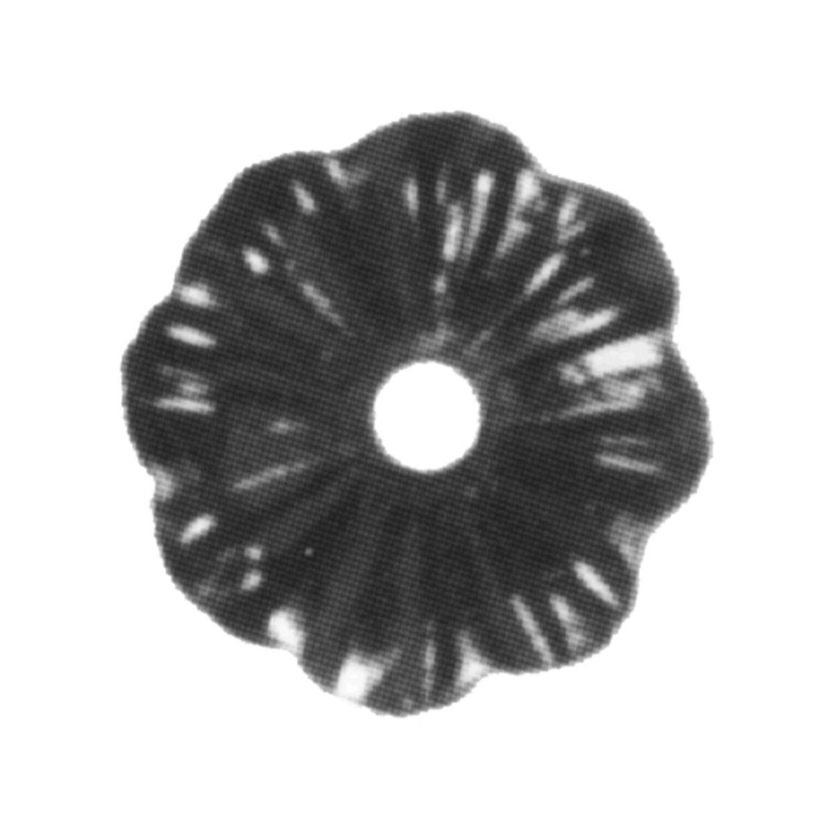 ROSETA DE HIERRO FORJADO 65mm DIAMETRO - 116/A/4