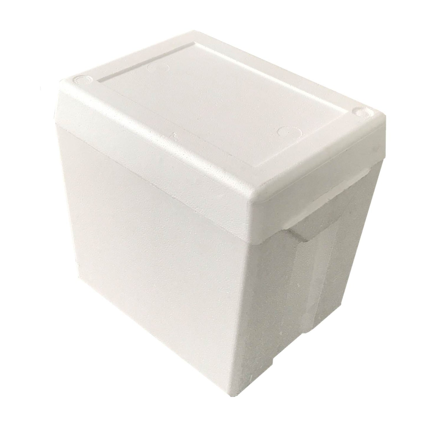 NEVERA DE FOAM (COOLER) 21 LITROS