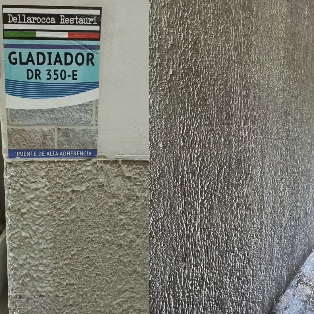 PUENTE DE ADHERENCIA DELLAROCCA DR350 5 GALONES
