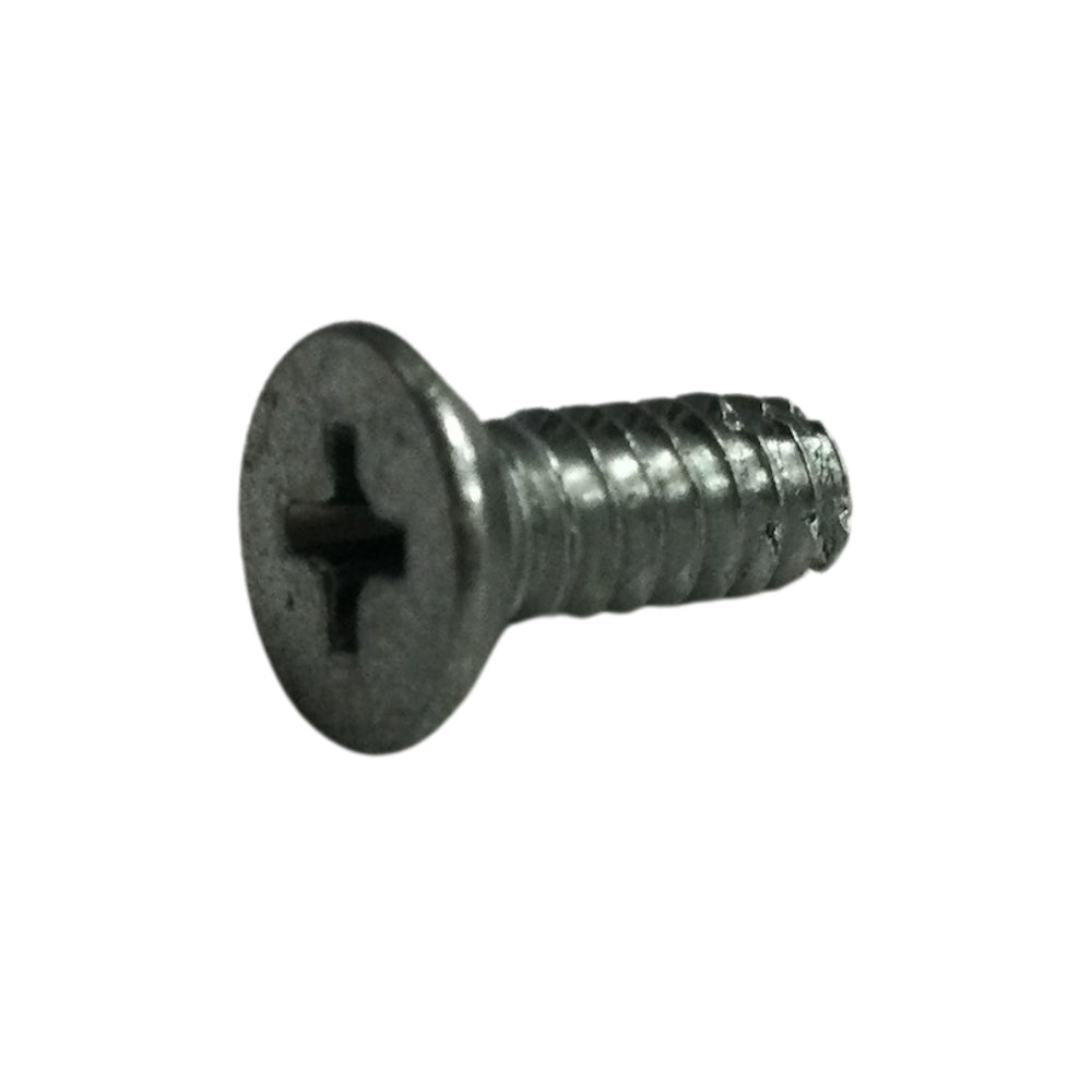 TORNILLOS AUTOROSCABLE PARA PUERTA DE METAL #10