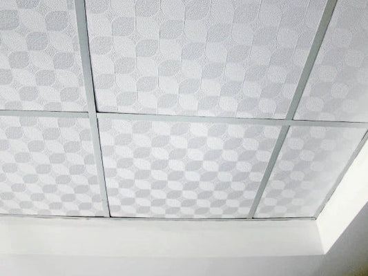 Cielo Raso Suspendido: Tipos de Materiales y Tips de Instalación