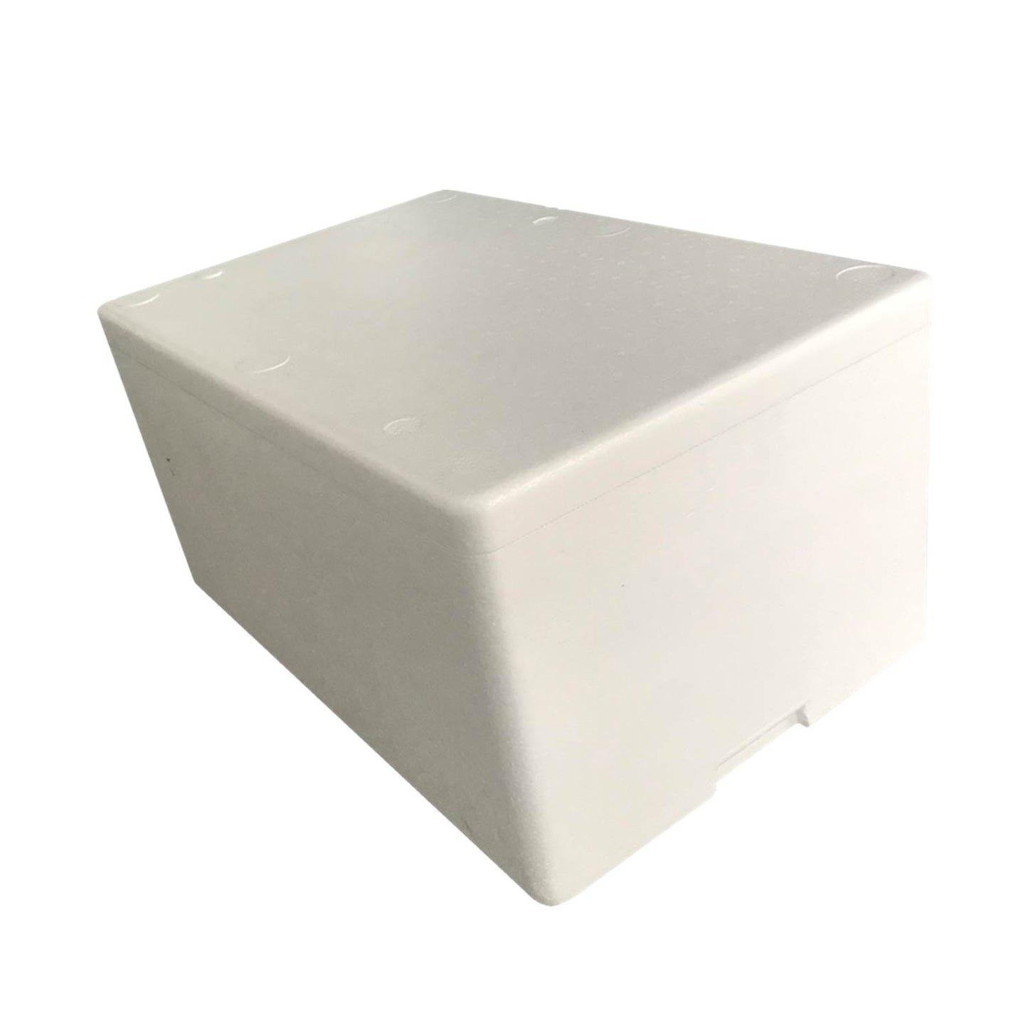 NEVERA DE FOAM (COOLER) CON TAPA 55 LITROS