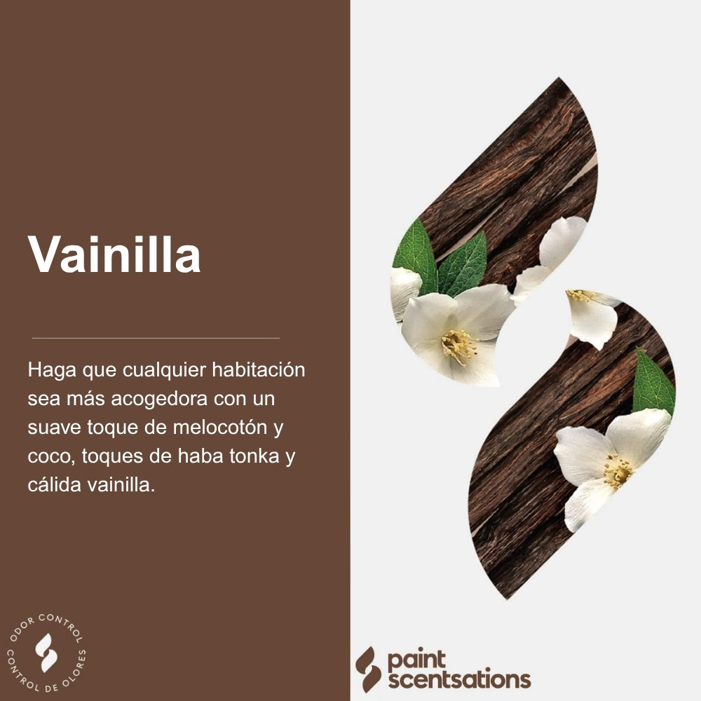FRAGANCIA PARA PINTURA PAINT SCENTSATIONS VANILLA BEA