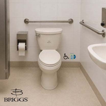 INODORO DOS PIEZAS ELONGADO COLOR BONE MAXIMA PLUS BRIGGS