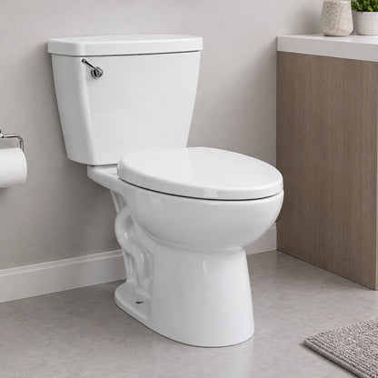 INODORO DOS PIEZAS ELONGADO HE-283 COLOR BLANCO 725*475*815MM