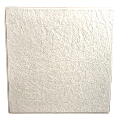 CIELO RASO DE ESCAYOLA 0.61CM X 0.61CM  PAPEL MOJADO RIHOPLAC  CAJA 8 PZAS.
