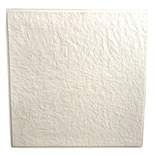 CIELO RASO DE ESCAYOLA 0.61CM X 0.61CM  PAPEL MOJADO RIHOPLAC  CAJA 8 PZAS.