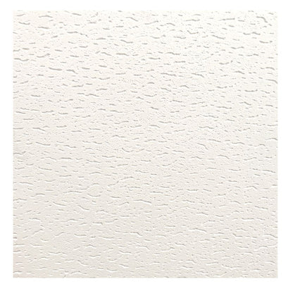 CIELO RASO DE ESCAYOLA 0.61CM X 0.61CM NAPOLES RIHOPLAC  CAJA 8 PZAS