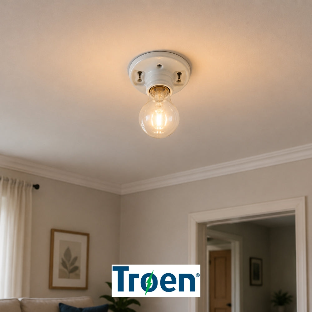 ROSETA DE PORCELANA 250V/660W