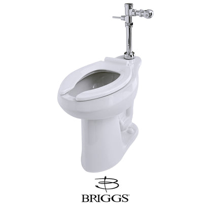 FLUXÓMETRO BRIGGS PREMIUM PARA INODORO ASME A112.1037  CSA B125.37-15
