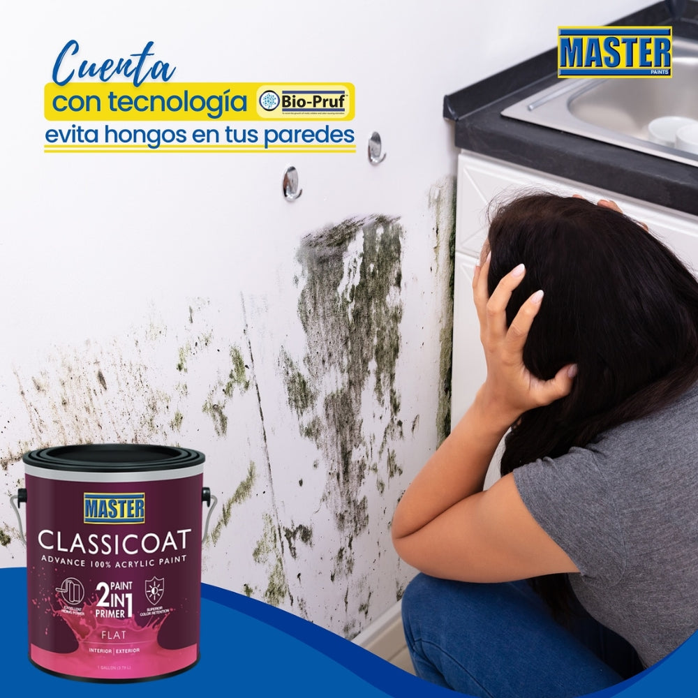 PINTURA PARA EXTERIOR Y INTERIOR BASE CLASSICCOAT FLAT PTB GALON VV0480P MASTER