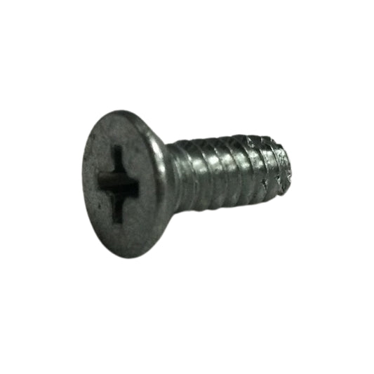 TORNILLOS AUTOROSCABLE PARA PUERTA DE METAL #10