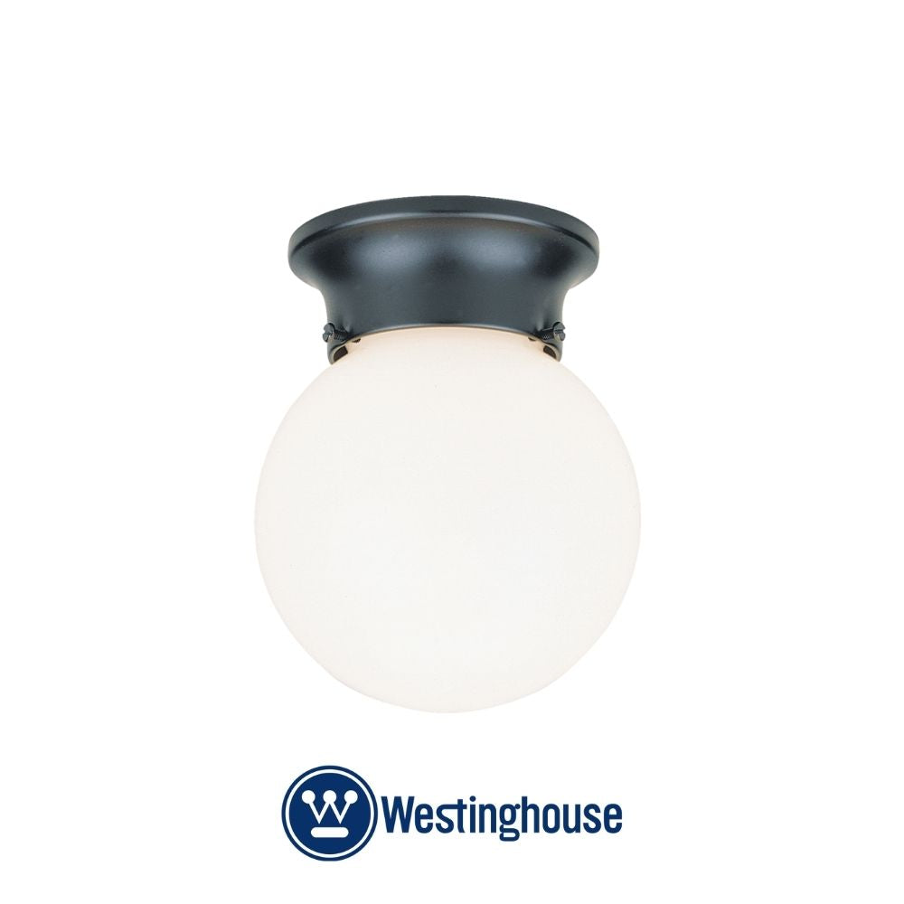 LAMPARA DE TECHO 1LUZ 60W GLOBO NEGRA