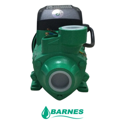 BOMBA DE AGUA PERIFERICA DE 1/2HP 110V/220V BARNES E0280