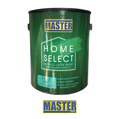 PINTURA LATEX ACRILICO INTERIOR Y EXTERIOR HOME SELECT VV1540P MASTER